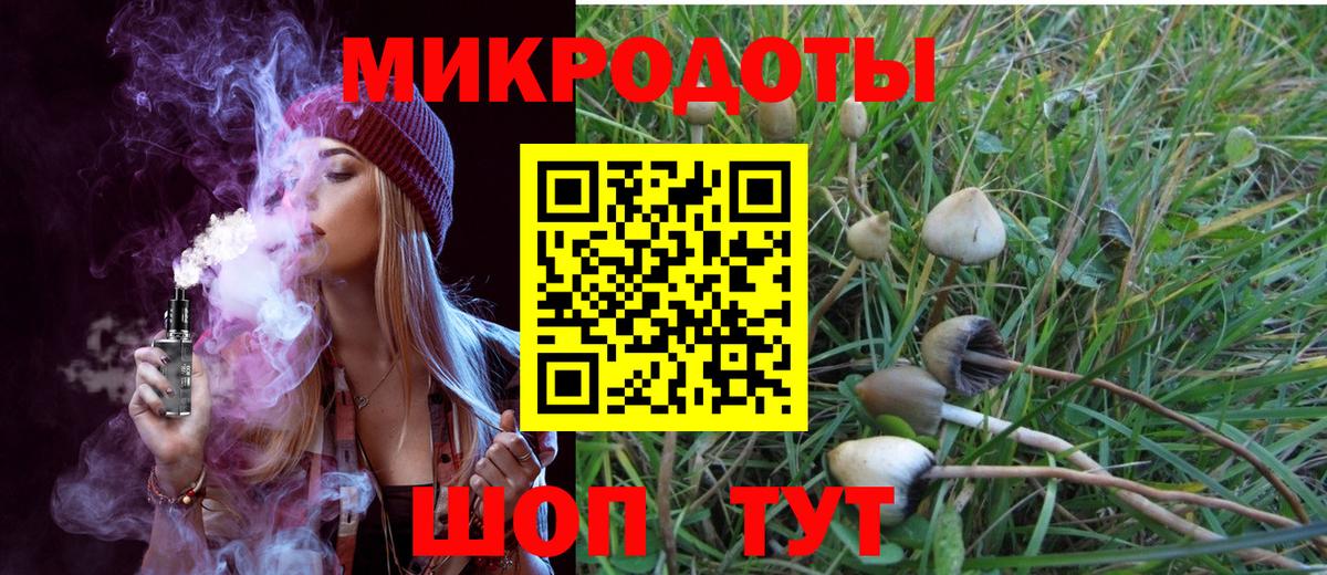 Псилоцибиновые грибы прущие грибы  Вход с VPN  Псилоцибиновые грибы Psilocybine cubensis  Чебоксары 